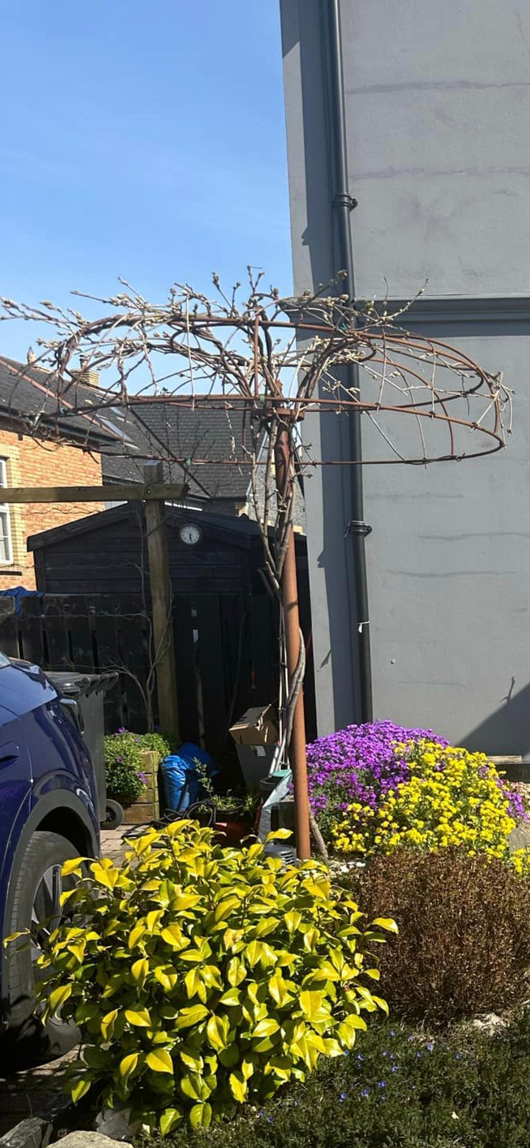 Steel umbrella plant support